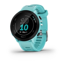 Hodinky Garmin Forerunner 55 Blue