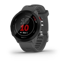 Hodinky Garmin Forerunner 55 Grey