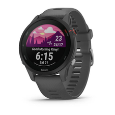 Hodinky Garmin Forerunner 255, Slate Gray