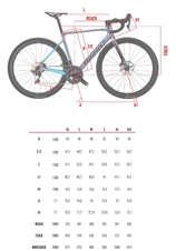 Silniční kolo Wilier ZERO SL Disc +CHORUS 2x12+ NDR38 black red