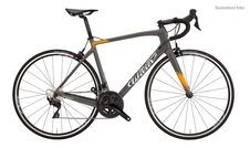 Silniční kolo Wilier GTR TEAM Disc+ SH105+RS171 grey orange