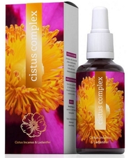 Energy Cistus complex